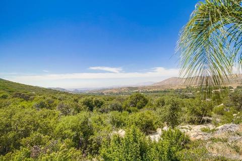 2534 Forest Park Rd, Jamul, CA 91935 photo 41