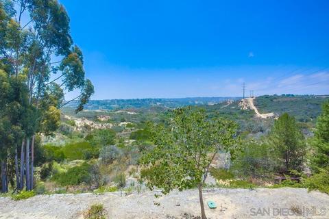 247 Fairlee, Encinitas, CA 92024 photo 19