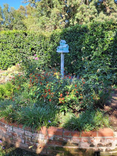 1166 North Ave, Escondido, CA 92026 photo 58