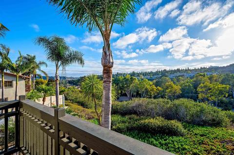 6807 Sand Aster, Carlsbad, CA 92011 photo 23