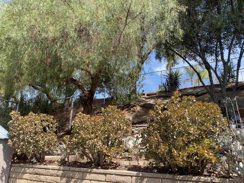 9794 Lutheran Way, Santee, CA 92071 photo 56