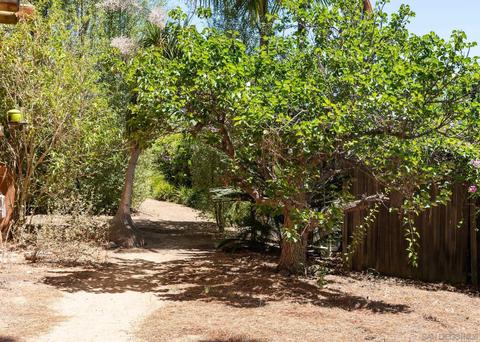 1144 Crest Dr, Encinitas, CA 92024 photo 48