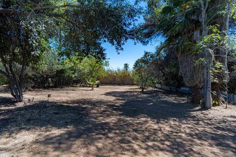 9149 Madison Ave, La Mesa, CA 91941 photo 29