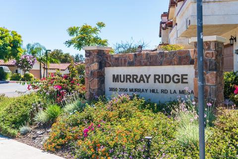 3868 Murray Hill Rd, La Mesa, CA 91941 photo 2