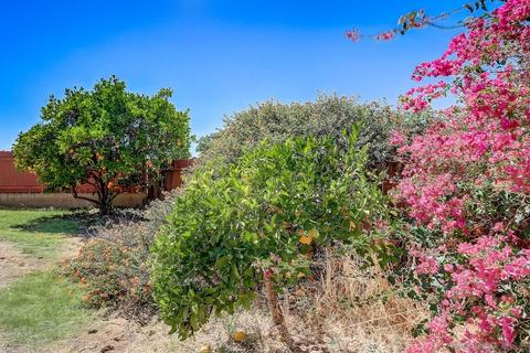 11988 Mountainview Hts, Lakeside, CA 92040 photo 22