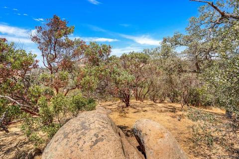 17899 Lyons Valley Rd, Jamul, CA 91935 photo 46