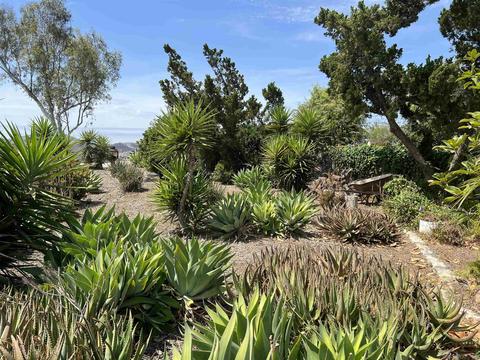 3815 Via Escuda, La Mesa, CA 91941 photo 29