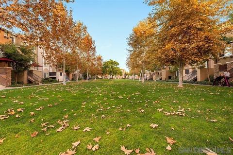 10201 Star Magnolia Ln, Santee, CA 92071 photo 32