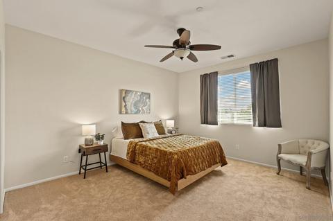 10201 Star Magnolia Ln, Santee, CA 92071 photo 15
