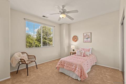 10201 Star Magnolia Ln, Santee, CA 92071 photo 12
