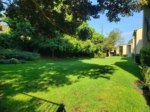 820 Encinitas Boulevard 204 #204, Encinitas, CA 92024 photo 20