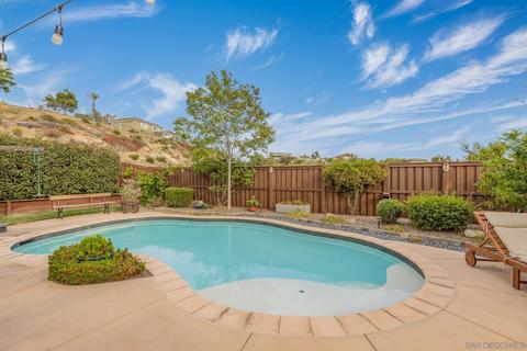 5586 Dracena St, Santee, CA 92071 photo 39