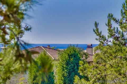 6680 Lemon Leaf Dr, Carlsbad, CA 92011 photo 7