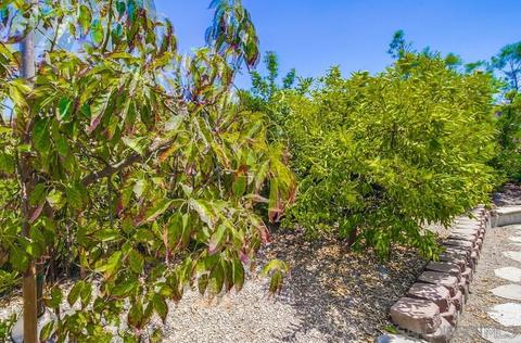 1930 Brady Jane Ln, Alpine, CA 91901 photo 59