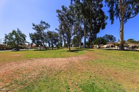 369 N Willowspring Dr, Encinitas, CA 92024 photo 29