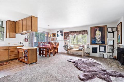 808 Pine Cone Dr, Julian, CA 92036 photo 7
