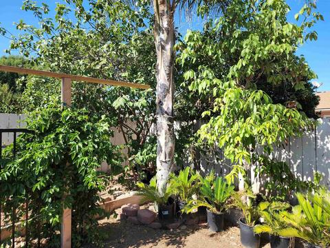 930 Daisy St, Escondido, CA 92027 photo 10