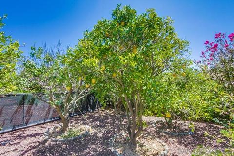 10570 Meadow Glen Way E, Escondido, CA 92026 photo 57