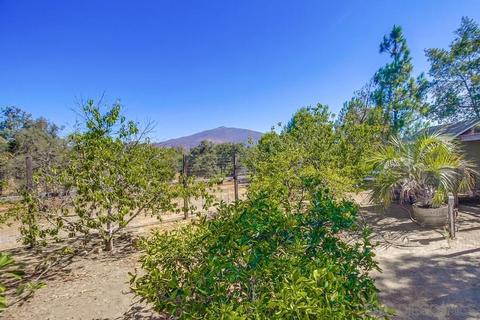 2650 Calle De Compadres, Alpine, CA 91901 photo 52
