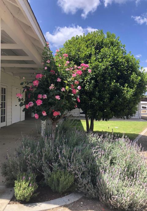 2130 Gum Tree Ln, Fallbrook, CA 92028 photo 10