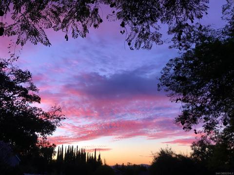 2130 Gum Tree Ln, Fallbrook, CA 92028 photo 13