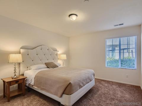 9928 Leavesly Trl, Santee, CA 92071 photo 13