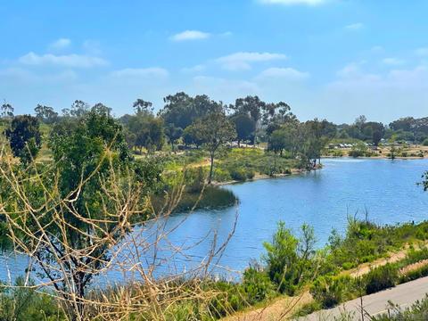 Undisclosed, La Mesa, CA 91942 photo 2