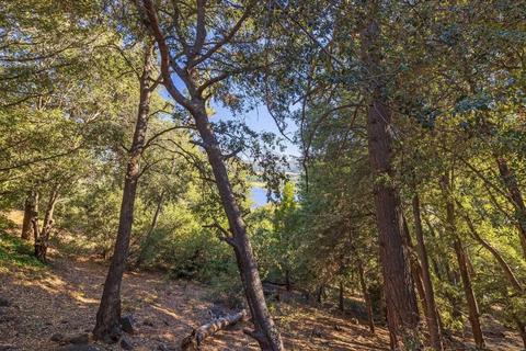 34623 Arrapahoe Pl, Julian, CA 92036 photo 33