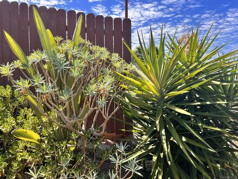 5990 Bertro Dr, La Mesa, CA 91942 photo 44