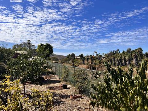 5990 Bertro Dr, La Mesa, CA 91942 photo 37