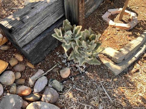 5990 Bertro Dr, La Mesa, CA 91942 photo 48