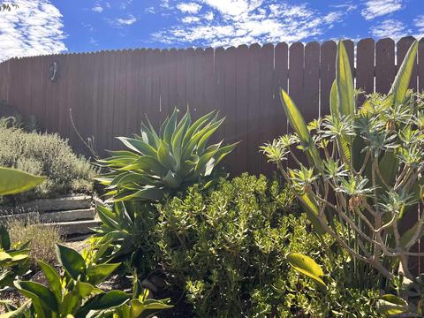 5990 Bertro Dr, La Mesa, CA 91942 photo 46
