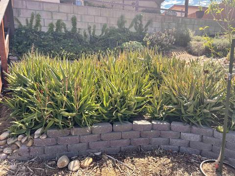 5990 Bertro Dr, La Mesa, CA 91942 photo 49
