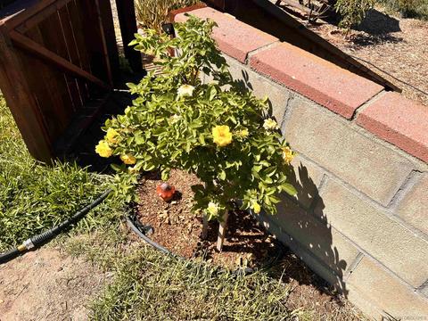 5990 Bertro Dr, La Mesa, CA 91942 photo 16
