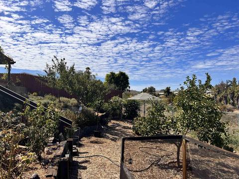 5990 Bertro Dr, La Mesa, CA 91942 photo 35