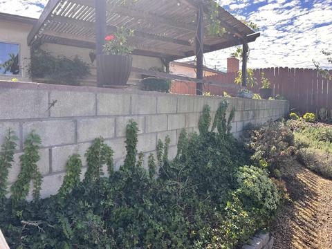 5990 Bertro Dr, La Mesa, CA 91942 photo 52