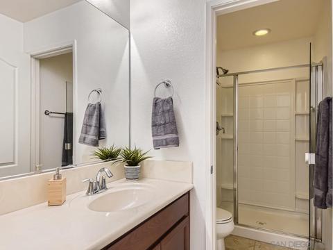 10111 Star Magnolia Ln, Santee, CA 92071 photo 24