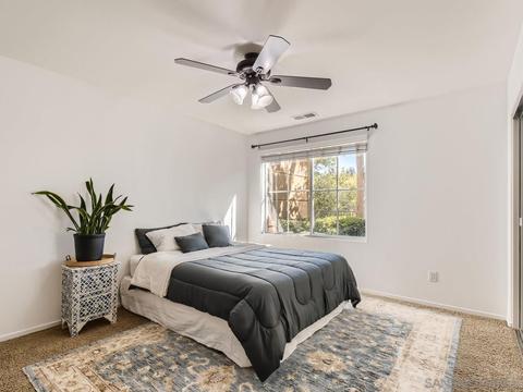 10111 Star Magnolia Ln, Santee, CA 92071 photo 23