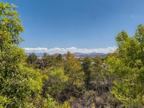 10111 Star Magnolia Ln, Santee, CA 92071 photo 28