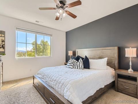 10111 Star Magnolia Ln, Santee, CA 92071 photo 15