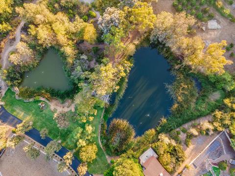 3740 Lake Ridge Rd, Fallbrook, CA 92028 photo 6