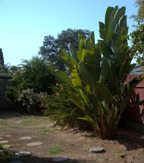 666 E Chase Ave, El Cajon, CA 92020 photo 28