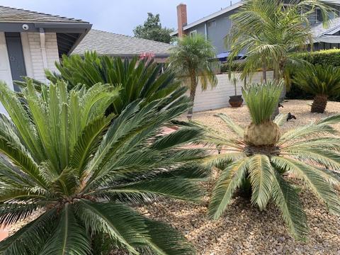 6145 Baltimore Dr, La Mesa, CA 91942 photo 42