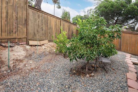 5400 Mcrae Ave, La Mesa, CA 91942 photo 31
