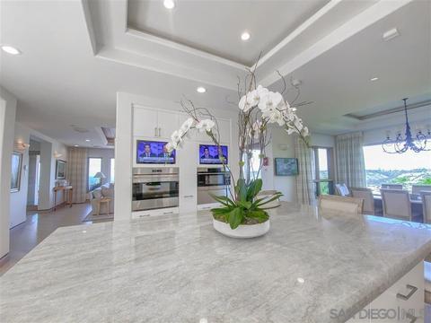 7505 Hillside Dr, La Jolla, CA 92037 photo 22