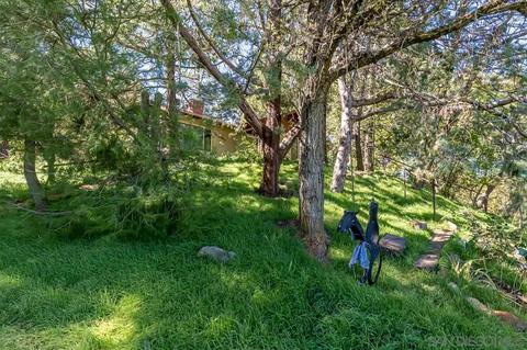 2225 Highway 78, Julian, CA 92036 photo 17