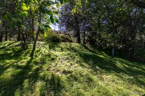 2225 Highway 78, Julian, CA 92036 photo 21