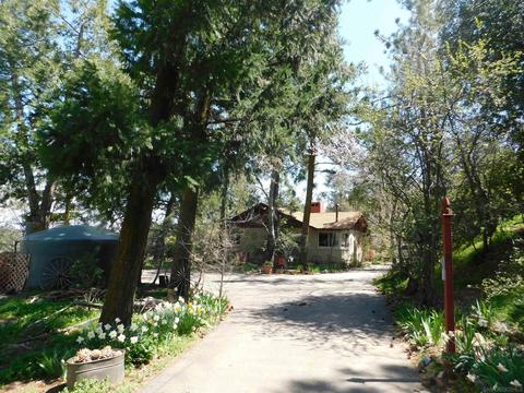 2225 Highway 78, Julian, CA 92036 photo 2