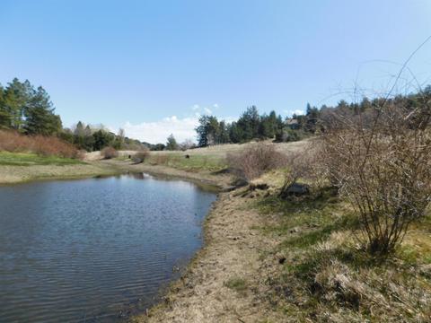 2225 Highway 78, Julian, CA 92036 photo 14