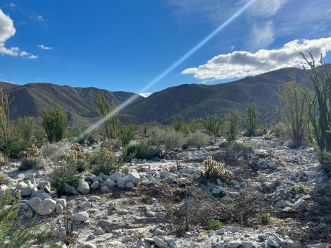 265 Upward Trl, Julian, CA 92036 photo 21